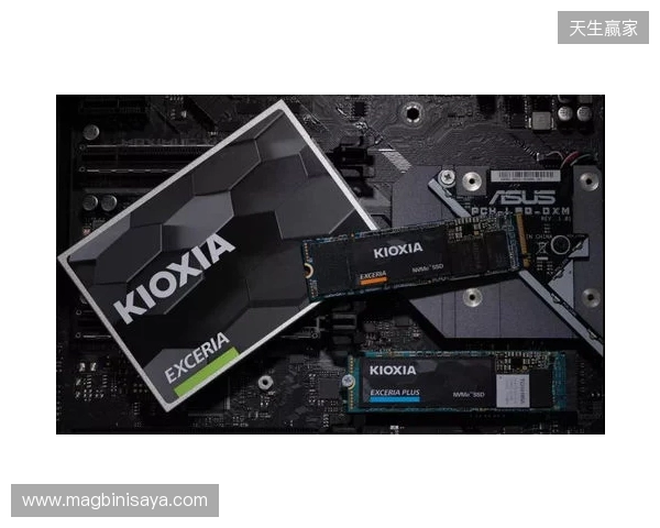 读写打穿天花板，再战五年不是梦！铠侠VE10固态上手体验