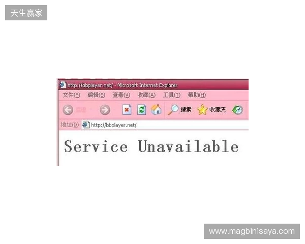 BB官宣FL4MUS租借期已结束,但会继续留在Major参赛名单中 BB官宣FL4MUS租借期已结束,但会继续留在Major参赛名单中